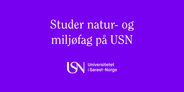 Universitetet i Sørøst-Norge logo